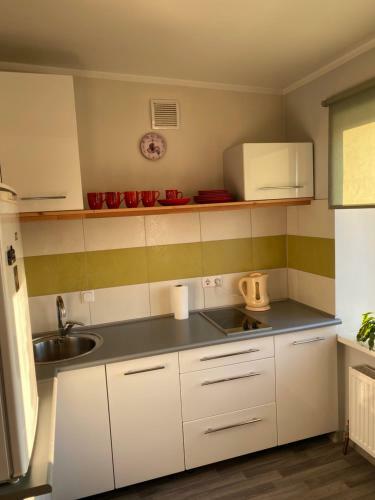 Apartamento M?j?gs Studio Tipa Dz?voklis J?ras Pils?t?.