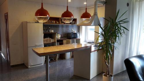 Vilnius Luxury Apartment 1