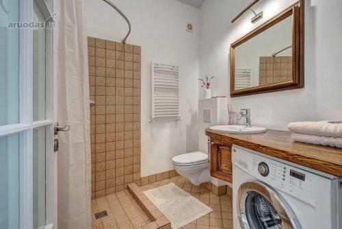 Old Town Saviciaus Street Apartment