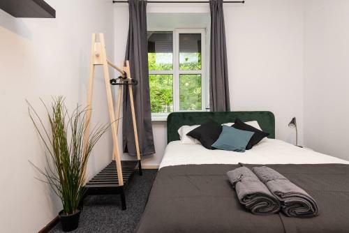 Albergue The House