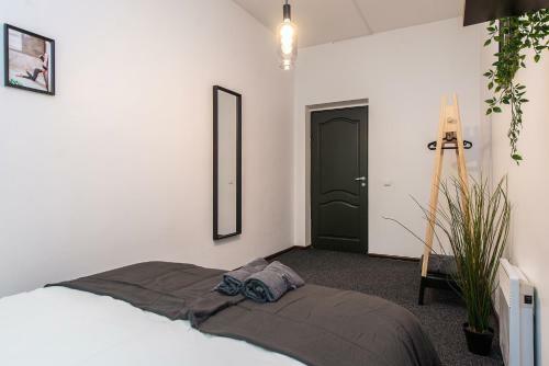 Albergue The House