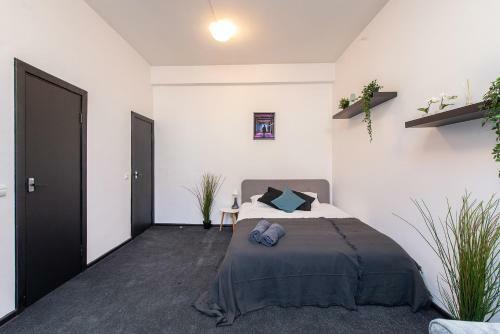 Albergue The House
