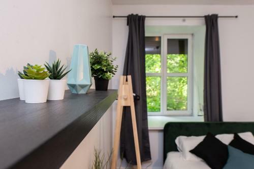 Albergue The House