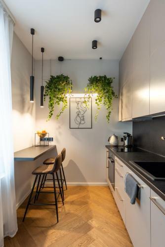 Old Town Apartment L Self Check In L Free Parking
