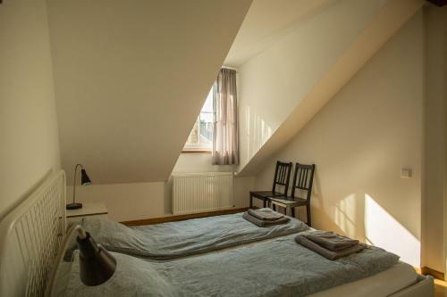 Vilnius Downtown Apartment