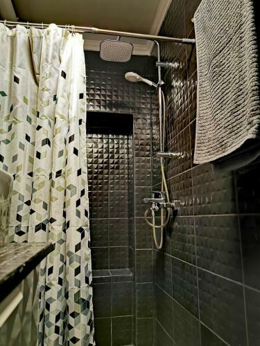 Old Town Basement Apartments