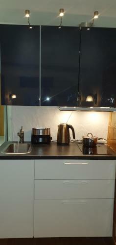 Apartamento Senamiescio Deimantas