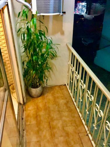 Apartamento Apto 2d Centro