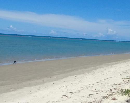 Apartamento Apto Em Coroa Vermelha A 400 M Da Praia