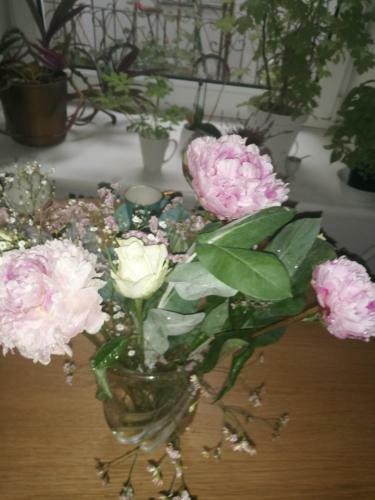 Apartamento Jaukus Butas Vilniuje