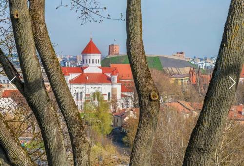 Mini Apartament By Town Hall, Self Chek-in