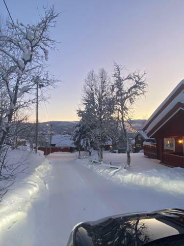 Apartamento Villa Solsiden Geilo