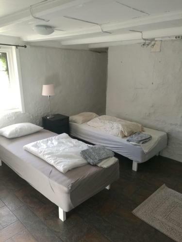 Byrkjeleite - Modernized House With 5 Bedrooms