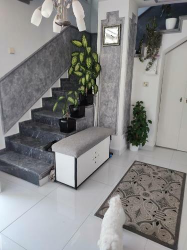 Apartamento Oaza Mira