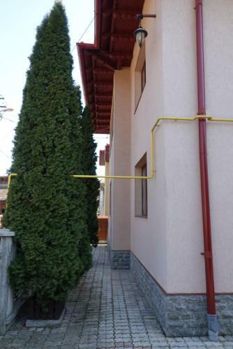 Classic Villa Bucovina