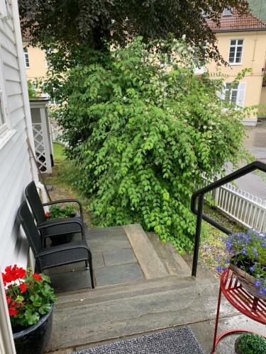 Apartamento H�yanger 3 Roms Leilighet