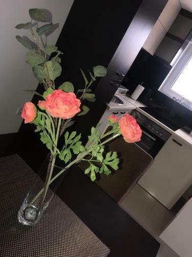Lux Apartmani Milan-o