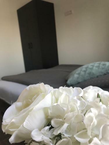 Lux Apartmani Milan-o