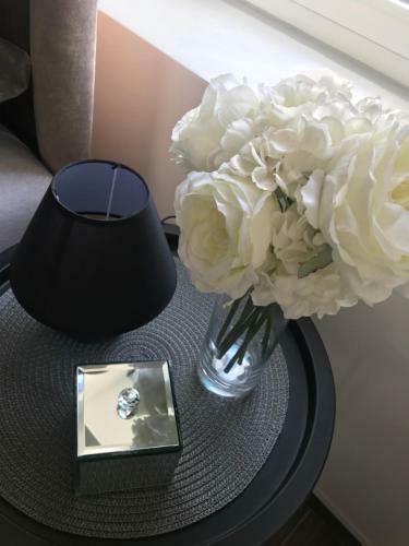 Lux Apartmani Milan-o