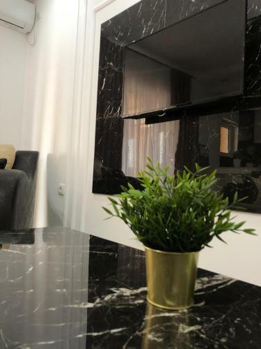 Lux Apartmani Milan-o