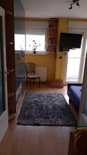 Apartman 015 Live