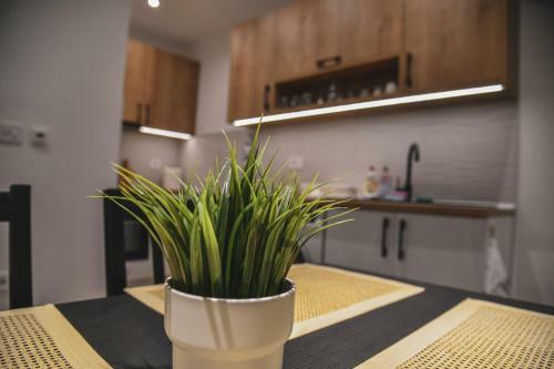 Apartman Centar Lux