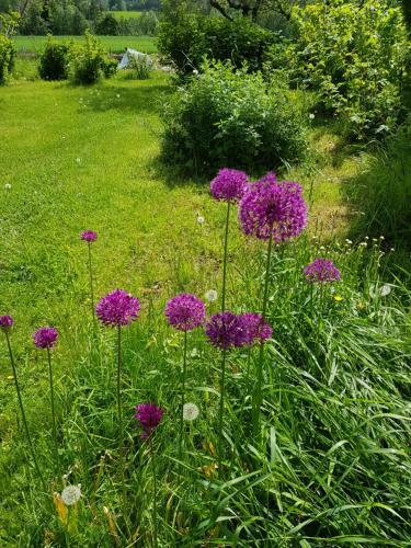 Bed & Breakfast Pilegrimsherberge Innomhaug
