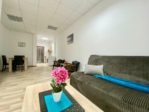 Bellavista Apartmani