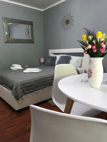 Apartman Studio Pavle I Petra