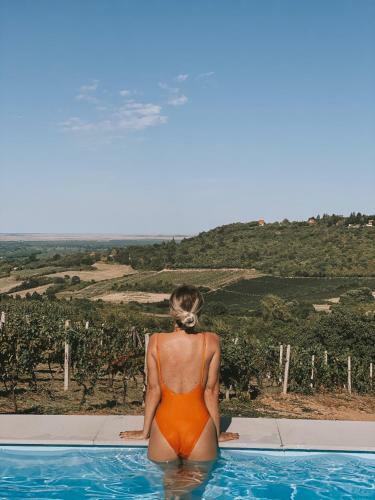 Lala Vineyard Glamping Resort
