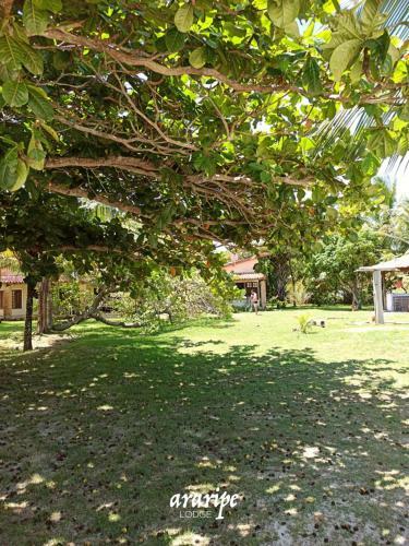 Bed & Breakfast Araripe Lodge