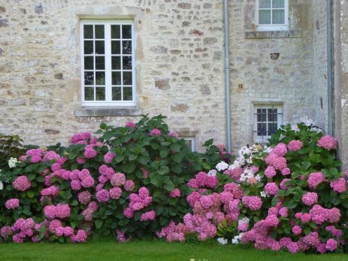 Bed & Breakfast Manoir De Savigny
