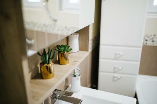 Apartment Experience