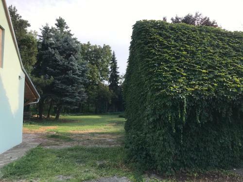 Bed & Breakfast Pb Urban Stay