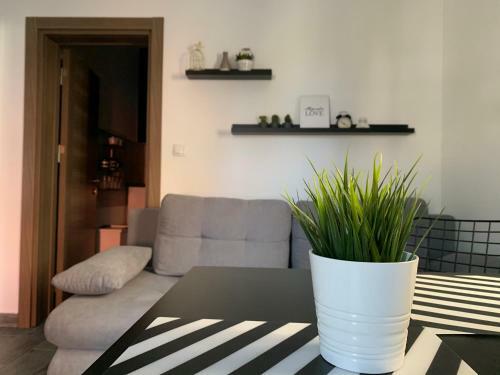Apartman Spring