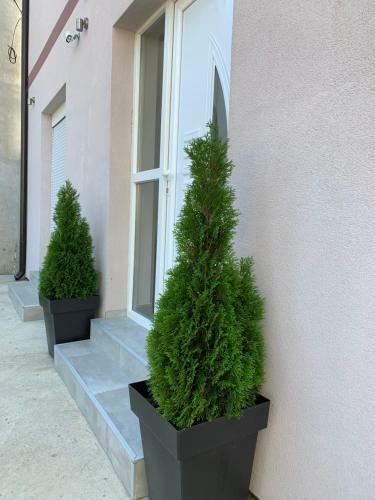 Apartman Spring