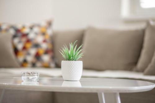 Apartman Rada