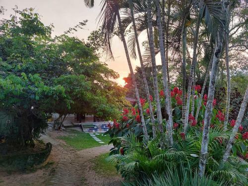 Posada Pousada Hostel Camping Verdejantes