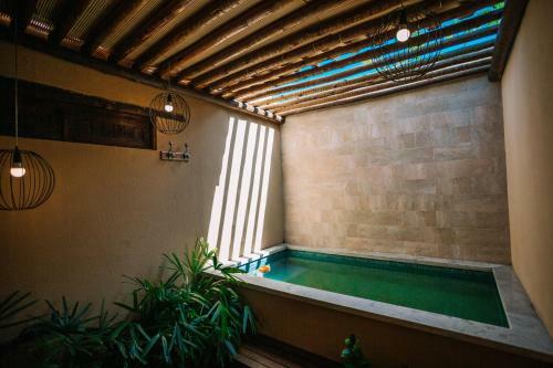 Lodge Ocacocar - Milagres