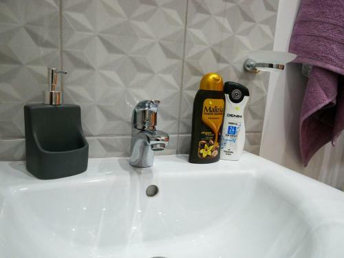 Apartamento Pensiunea La Buruiana