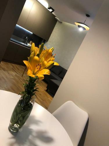 Apartamento Linden Flower