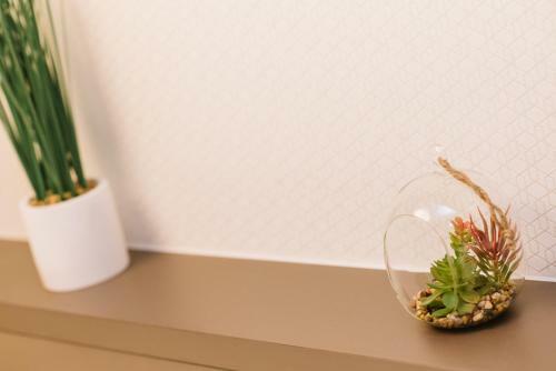 Apartman Donner Centar III