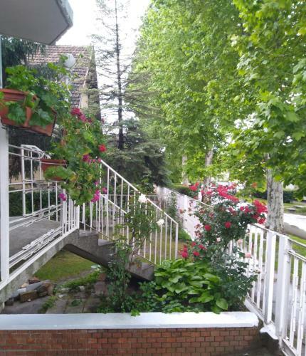Sandrea Studio Apartment