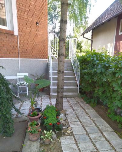 Sandrea Studio Apartment