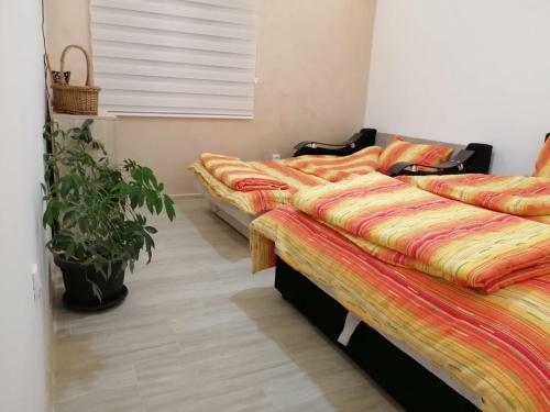 Apartamento Uzicki-konaci