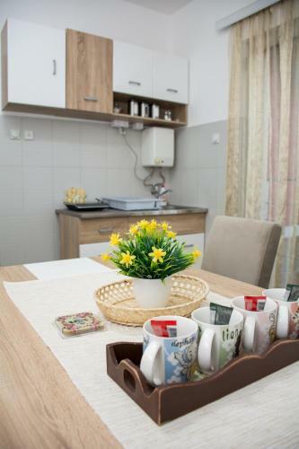 Apartment Aleksandar Valjevo