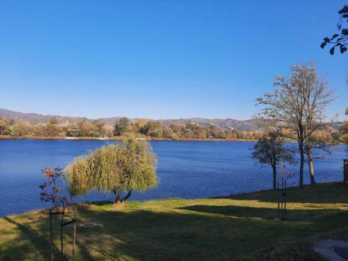 Apartman Alisa