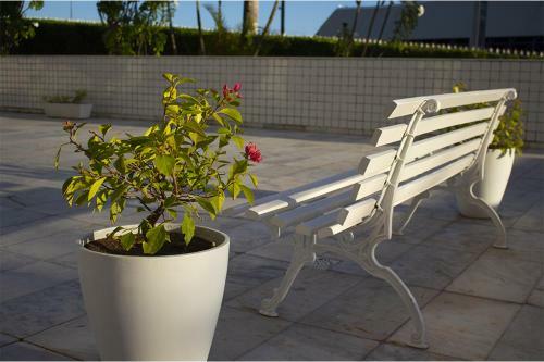 Apartamento Apto Vista Mar- Stiep