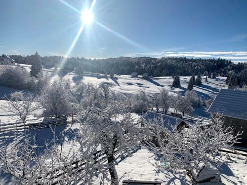 Vikendica Bonema, Sekulic Tara