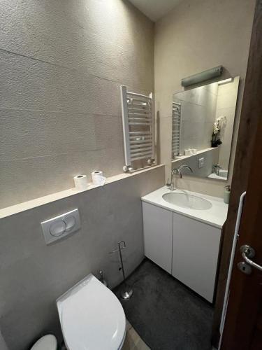 Zlatibor An Apartmani 1000